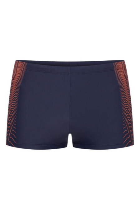 Maudymosi šortai Radon 42607-59X Mėlyna